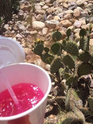 Prickly pear lemonade