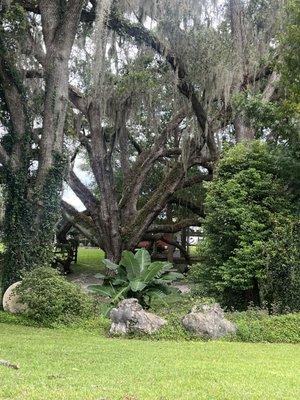 The Oak Hammock on the property