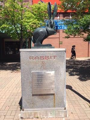 Rabbit