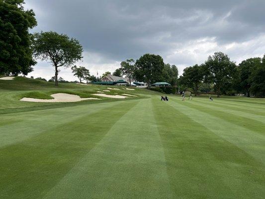 Old course approach to club house