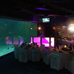 Pine Knolls Shore NC. Aquarium Wedding