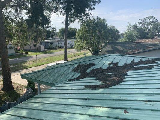 Roof cleaning.  Debris removal.