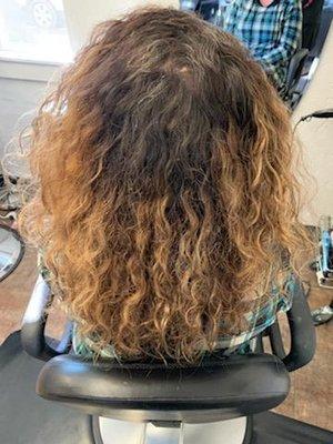 Before picture,  she definitely had her work cut out for her with 7 months of neglect!