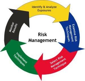 Our risk management process.