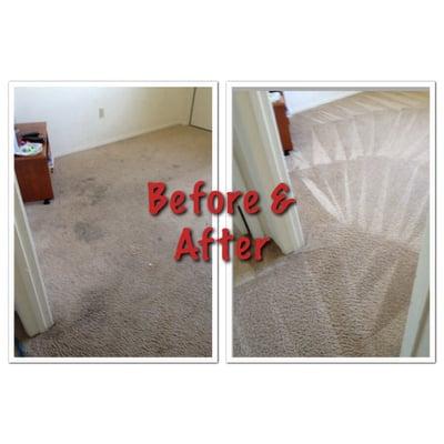 Mr Clean Carpet Cleaning