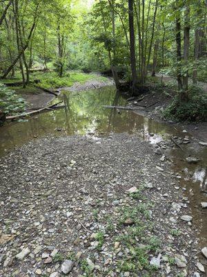 Walking trail