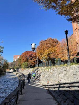 Beautiful fall colors