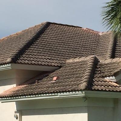 Barrel tile before chemical roof cleaning.