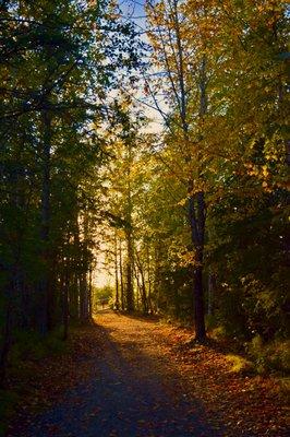 Trail hikes on Denal Fall Colors Tour