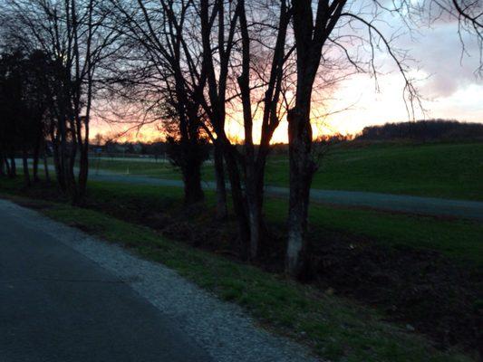 Sunset walk along the Greenway. Only downside is that it is no dogs allowed.