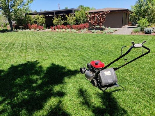 Denver estate lawn care.