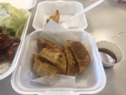 8 piece order of Gyoza, minus a couple I already ate.