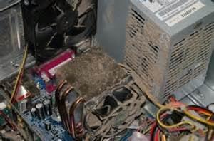 DOES the inside of your PC look like this, no matter how clean the house Is it could, bring it in for a FREE blow out before it burns up