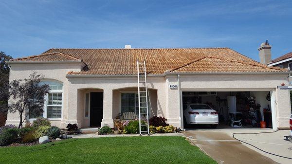 Roof softwashing. Nice same day visual result. (Same day results will vary.)