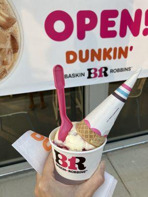 Baskin-Robbins