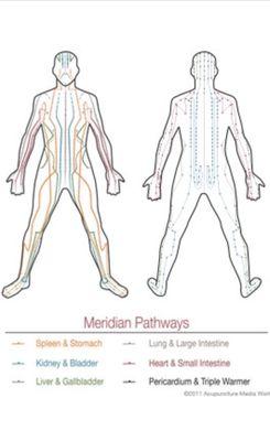 Acupuncture Meridians