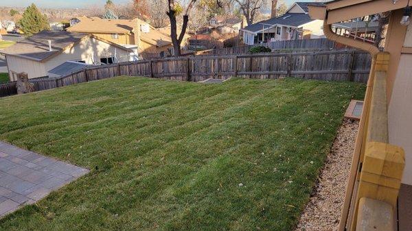 Upper terrace of backyard