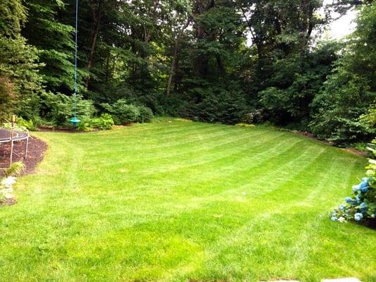 Lawncare specialists