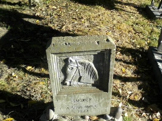 Marker for "SMOKEY a good mule" @ [Francis Marion "Borax"] F. M.  Smith Park, Oakland, California.