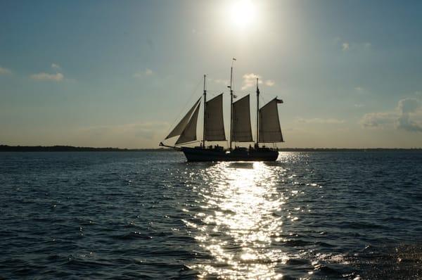 Charleston Harbor