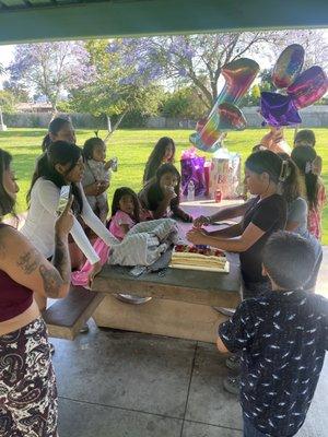 My daughters birthday party she had so much fun