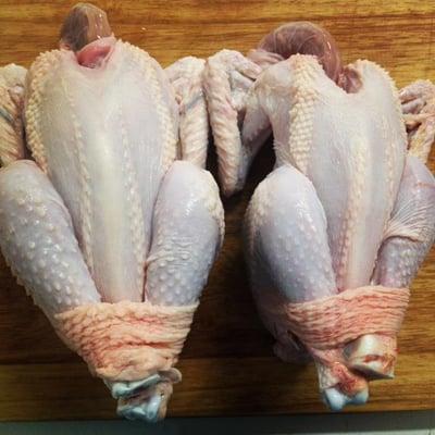 Fresh Small Naked Neck Chicken, or Poussin