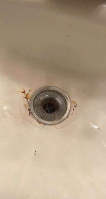 Cracks and mold in the sink