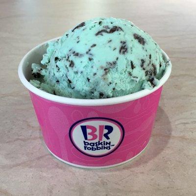 A Cup of Mint Chocolate Chip (One Scoop)