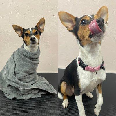 This cutie really enjoyed her bath