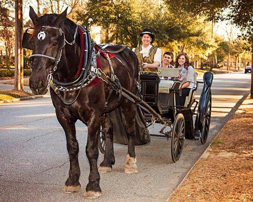 Camden Carriage Company