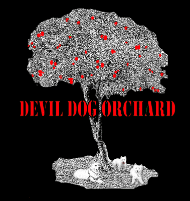 Devil Dog Orchard