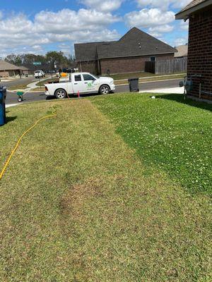 Pre Emergents Lawn Weed Control Prairieville LA