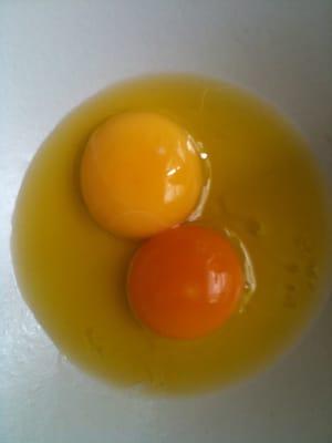 Egg from outdoor chicken on pasture vs egg from indoor chicken.