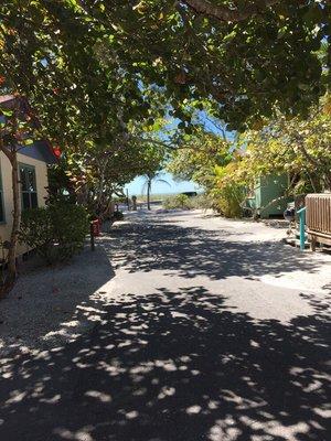 Rolling Waves Cottages