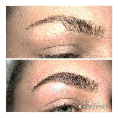 Brow Maintenance and Tint