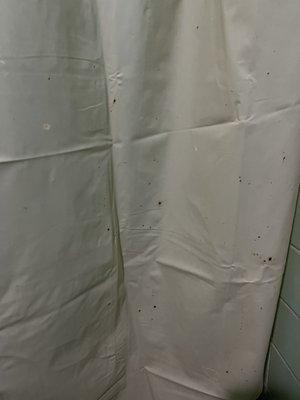 Shower curtain