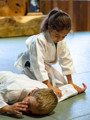 Kitsap Aikido