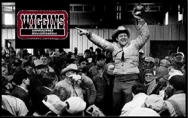 Wiggins Auctioneers...A Legacy of Integrity, Ethical Standards, and Trust!