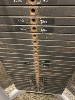 no decals on the weights