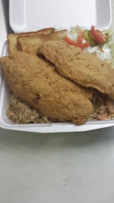 Fish plate with rice. $9.99 is enough to feed two