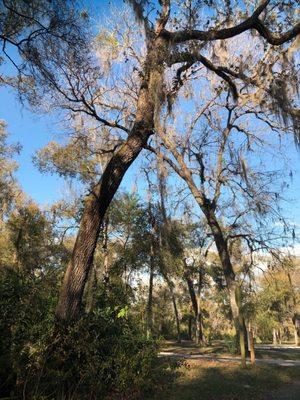 Fort Cooper State Park