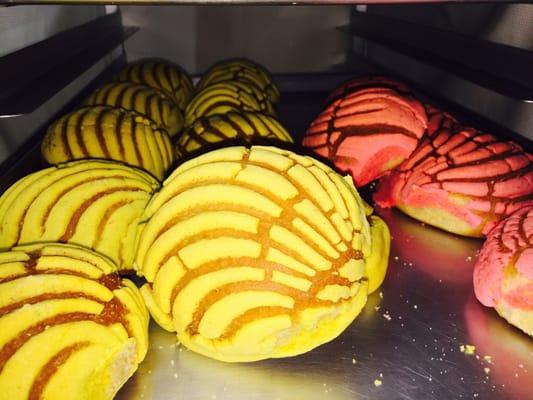 Pan dulce.....