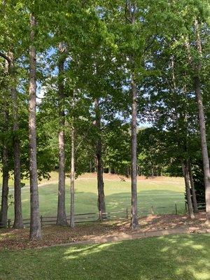 Trimming done by a client in Suwannee Ga .