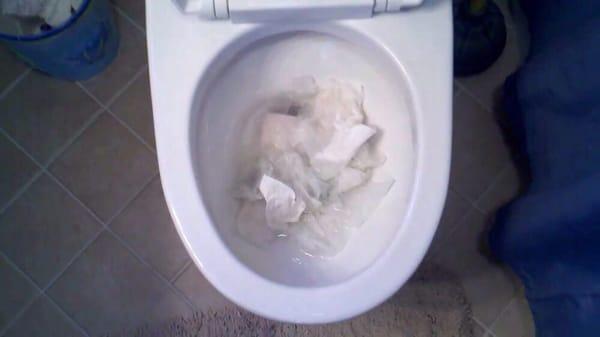 Forgot to flush the evidence