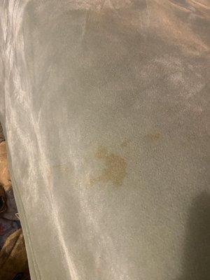 Some kind of stain. Possible poop, hopefully coffee.