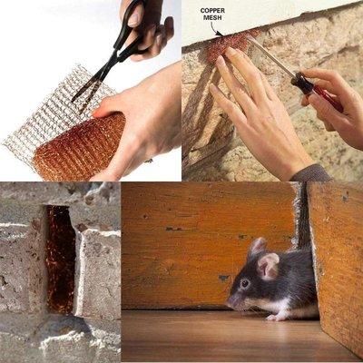 Rodent Proofing