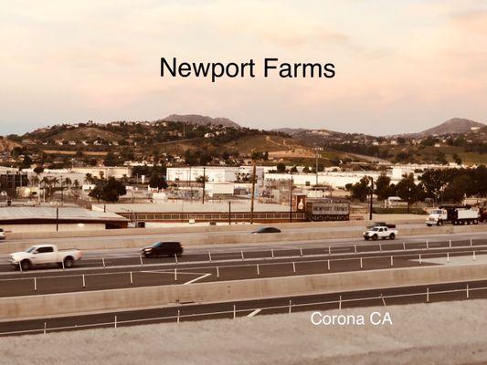 Newport Farms