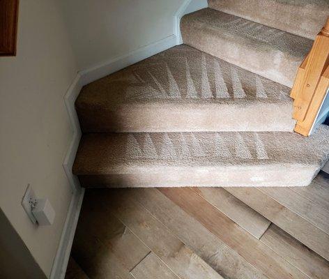 Carpet Cleaning-Stairs-Chesterfield-Virginia