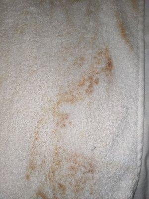 Close-up of blood on towel