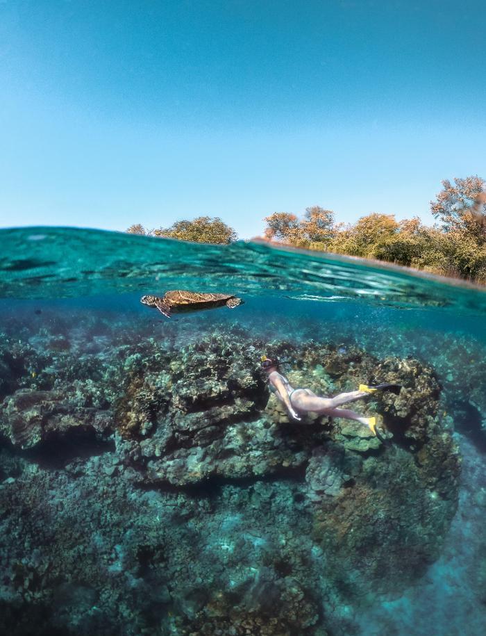 Kona Snorkel Trips